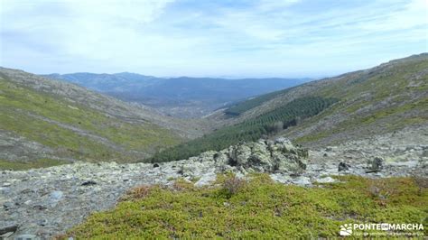 pico ocejon ruta|Pico Ocejon desde Valverde de los Arroyos (Sierra de Ayllón)